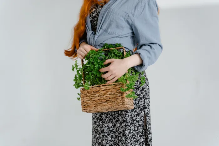 Choosing a Simple Setup for Indoor Herb Growing
